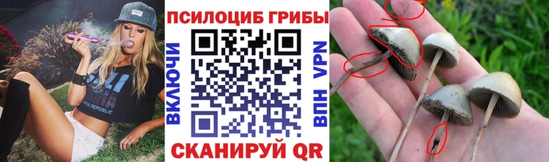 Псилоцибиновые грибы ЛСД  Купить  Спасск 